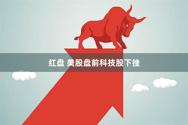红盘 美股盘前科技股下挫