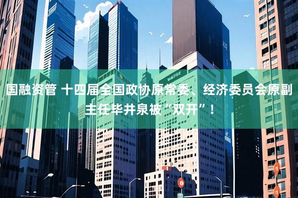 国融资管 十四届全国政协原常委、经济委员会原副主任毕井泉被“双开”！