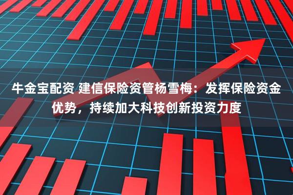 牛金宝配资 建信保险资管杨雪梅：发挥保险资金优势，持续加大科技创新投资力度