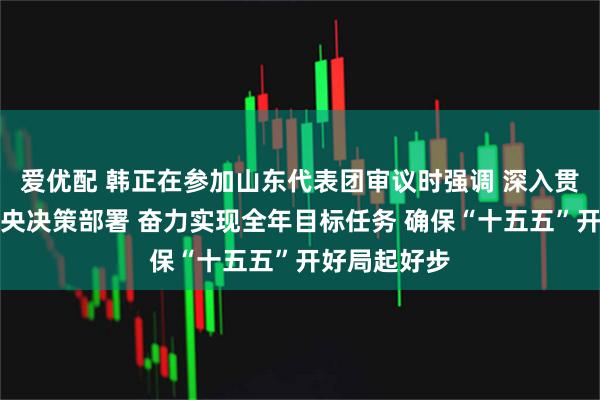 爱优配 韩正在参加山东代表团审议时强调 深入贯彻落实党中央决策部署 奋力实现全年目标任务 确保“十五五”开好局起好步